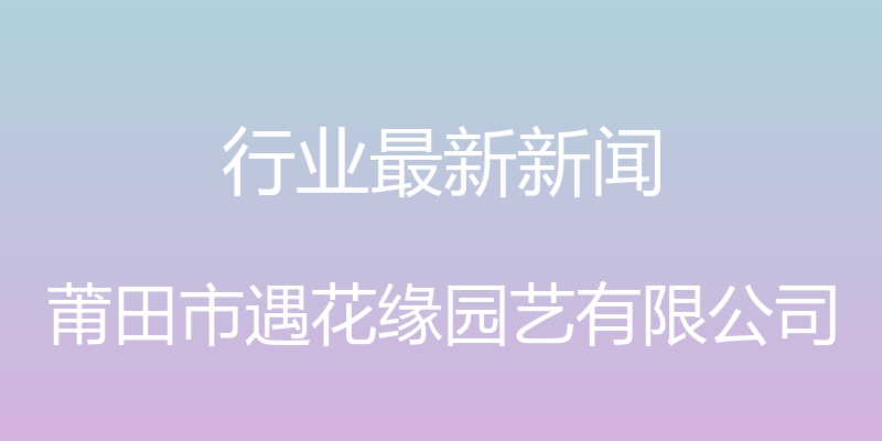 行业最新新闻 - 莆田市遇花缘园艺有限公司