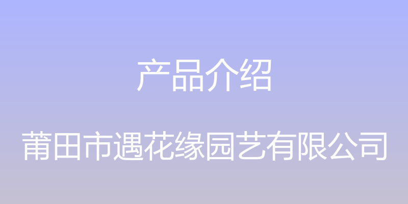 产品介绍 - 莆田市遇花缘园艺有限公司