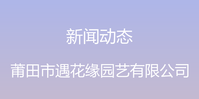 新闻动态 - 莆田市遇花缘园艺有限公司